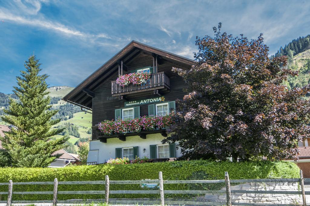 Ferienhaus Antonia Dorfgastein Luaran gambar